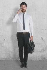 Businessman standing with briefcase and talking with phone.