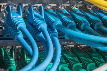 Fototapeta premium network cables connected to switch
