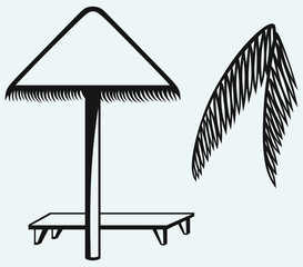 Palm leaf and beach umbrella isolated on blue background