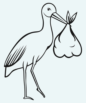 Stork with baby isolated on blue background
