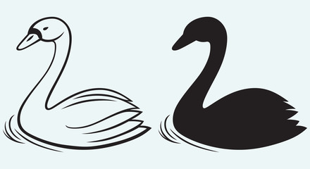 Swans on pond isolated on blue background