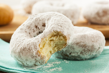 White Homemade Powdered Donuts