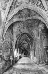 Ancient gothic cloister in black and white