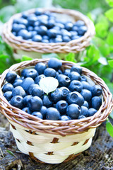 Fototapeta na wymiar Blueberries basket closeup