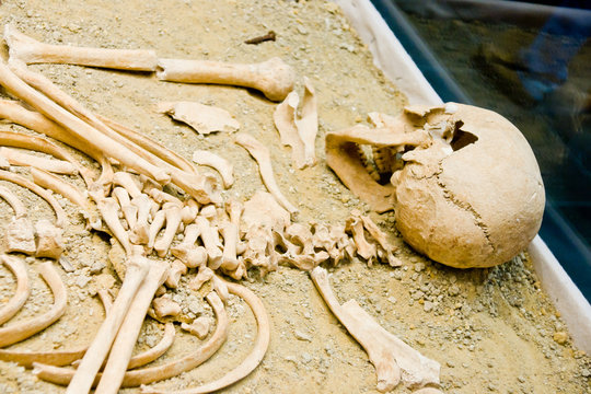 archeology, human bones