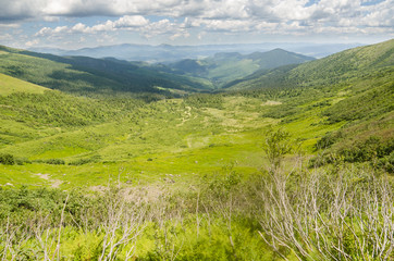 Fototapeta premium Carpathian Mountains in Ukraine