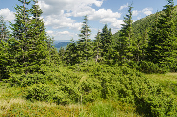 Carpathian Mountains in Ukraine