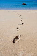 footprints in the sand