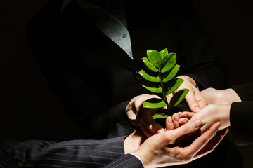 Sprout in hands