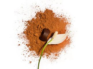 flower and candy on a cocoa powder