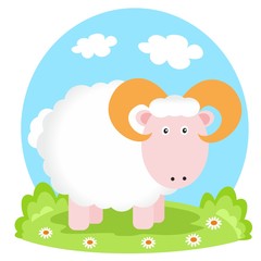 lovely sheep on glade