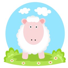 Obraz premium lovely lamb on glade