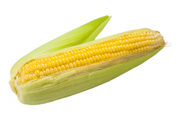 corn isolated on white background