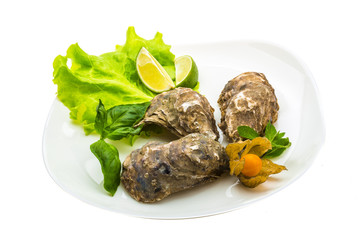 Fresh oyster
