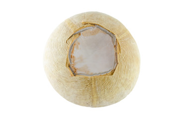 Coconut