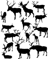 fifteen black isolated deers