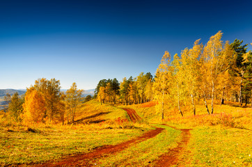 Naklejka premium Autumn