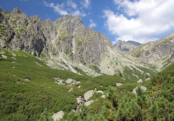 Mala studena dolina - valley in High Tatras, Slovakia