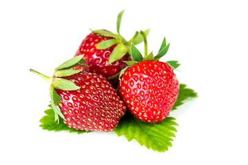 Three fresh ripe strawberries