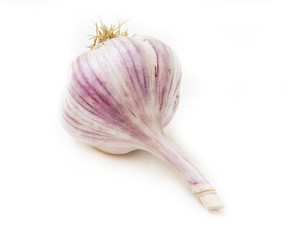 Garlic  on a white background