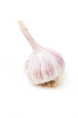 Garlic  on a white background