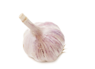 Garlic  on a white background