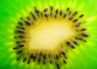 Bright kiwi slice closeup