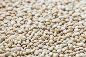 Raw organic quinoa seeds in white cup on wooden board background