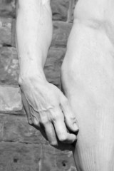 hand and hip of  David sculptured by Michelangelo , Florence - 54965627