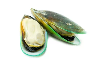 Keuken spatwand met foto Green mussel © jumnong