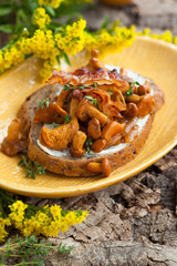 Chanterelle Sandwiches