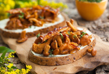 Chanterelle Sandwiches