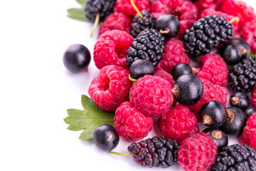 Fresh berries raspberries, blackcurrants
