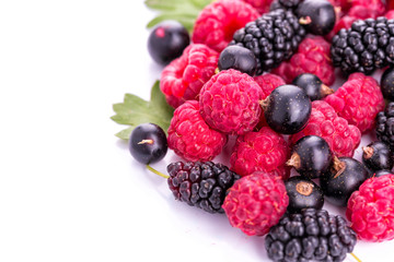 Fresh berries raspberries, blackcurrants