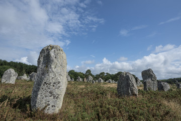 megaliths - menhirs - Carnac in Brittany, France