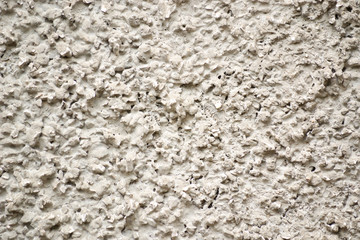 background is a concrete wall