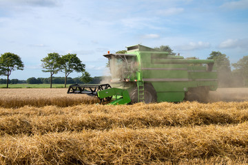 Fototapeta premium Mähdrescher