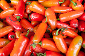 Colorful Chili Peppers On Display At Farmers Market