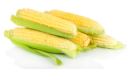 Fresh corn vegetable isolated on white