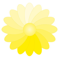 Farbverlauf Blume Farbspektrum