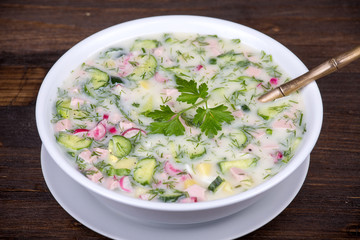 Vegetable soup ( okroshka )