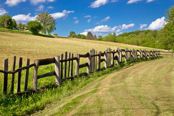 Wooden fence in green landscape