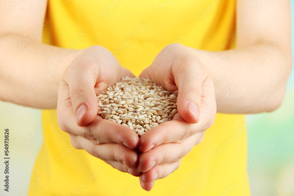 Canvas Prints Wheat grain in female hands on natural background