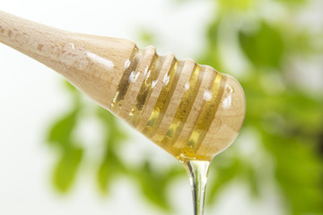 Honey dripping from wooden stick