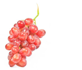 Red grapes isolated