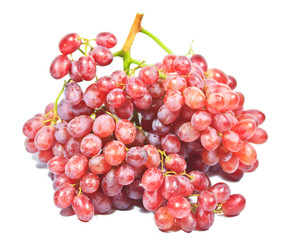 Red grapes isolated