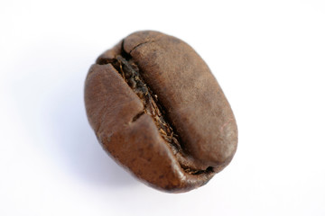 Obraz premium Kaffee Bohne - Makro Aufnahme
