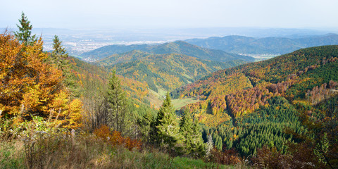 Schwarzwald im Herbst - obrazy, fototapety, plakaty