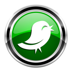 twitter icon