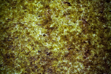 Fototapeta na wymiar Dried seaweed background